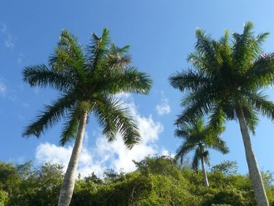 2007 Cuba , cuba2007099