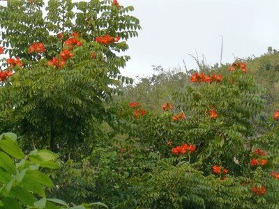 2007 Cuba , cuba2007286
