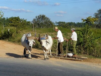 2007 Cuba , cuba2007058