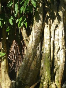2007 Cuba , cuba2007189