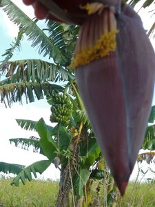 2007 Cuba , cuba2007254