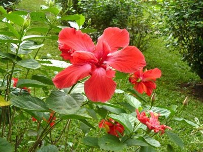 2007 Cuba , cuba2007214