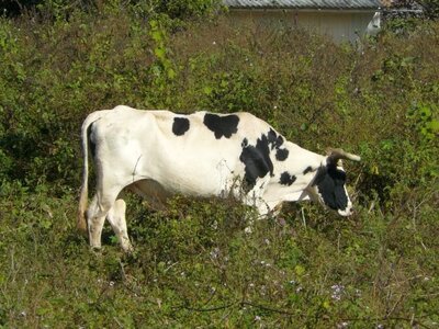 2007 Cuba , cuba2007094