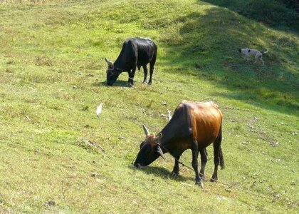 2007 Cuba , cuba2007114