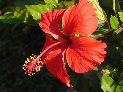 2007 Cuba , cuba2007336