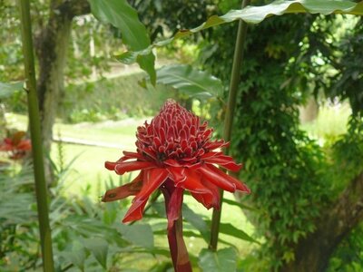 2007 Cuba , cuba2007212