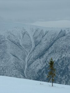 2005 Trondheim, rondane%2027