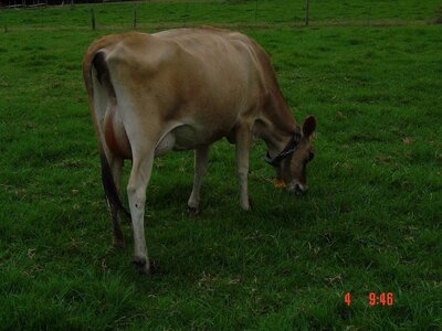 2004 Capetown, DSC00507