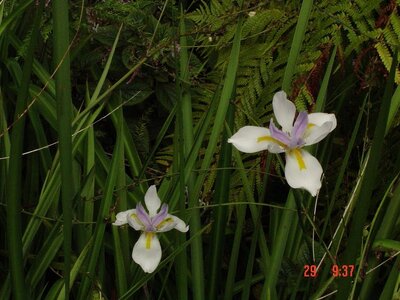 2004 Capetown, DSC00352