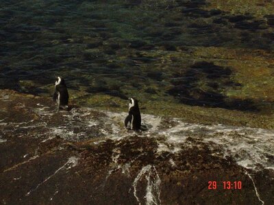 2004 Capetown, DSC00367