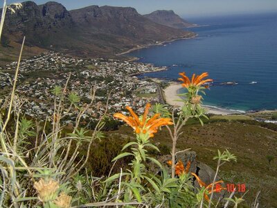 2004 Capetown, DSC00533