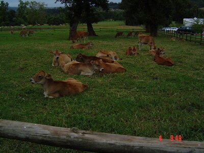 2004 Capetown, DSC00508