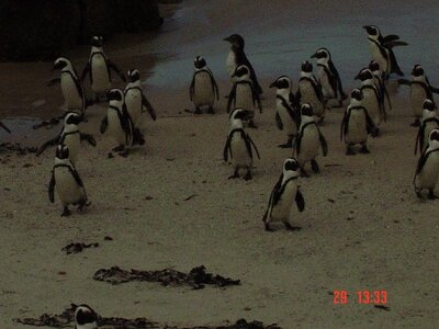 2004 Capetown, DSC00385
