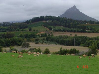 2004 Capetown, DSC00497
