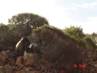 2004 Capetown, DSC00404