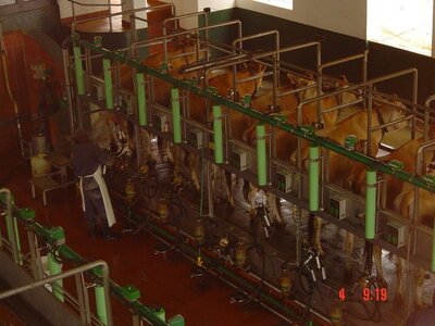 2004 Capetown, DSC00495