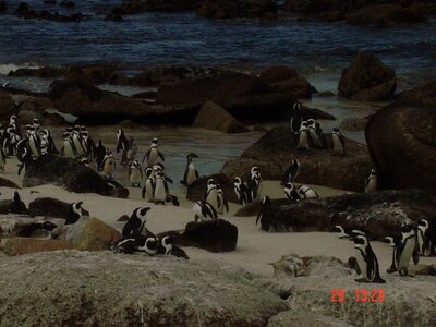 2004 Capetown, DSC00380