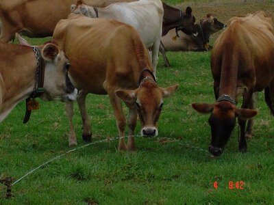 2004 Capetown, DSC00503