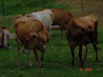 2004 Capetown, DSC00504