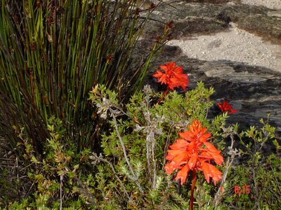 2004 Capetown, DSC00415