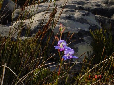 2004 Capetown, DSC00412