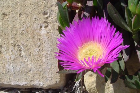 2006  Malte, 6 ggantija 001b