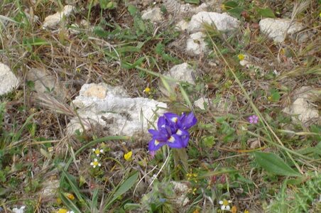 2006  Malte, 9 dwejra 023