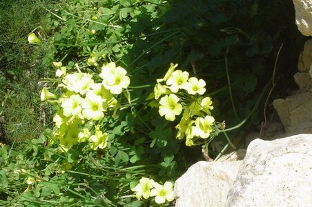 2006  Malte, 6 xaghra 06