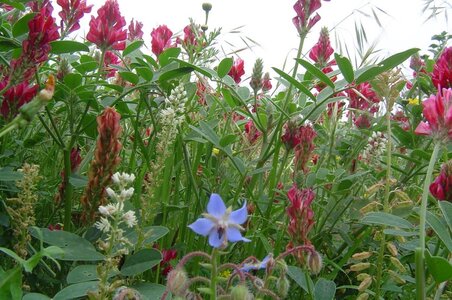 2006  Malte, 9 dwejra 010