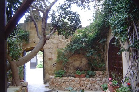 2006  Malte, 7 cornucopia 3