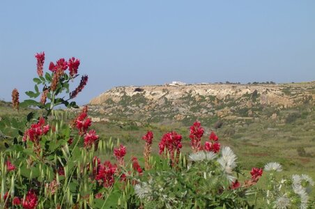 2006  Malte, 6 xaghra 08 gr calypso