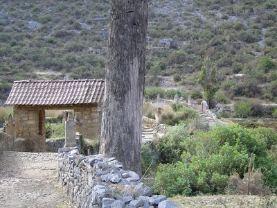 2003 2005 Pérou, 08huancaya 019