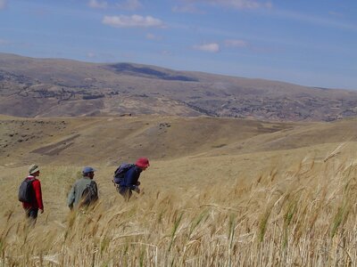 2003 2005 Pérou, 13Sachapite013