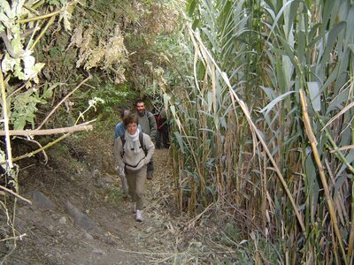 2003 2005 Pérou, 06laraospuebloviejo 001