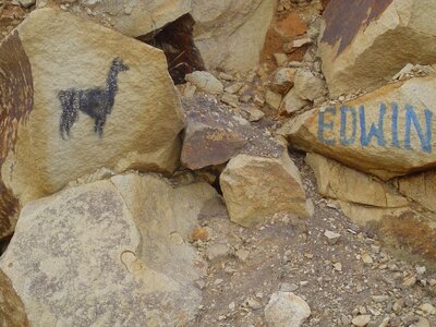 2003 2005 Pérou, 13Sachapite048