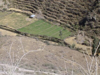 2003 2005 Pérou, 05laraos 012