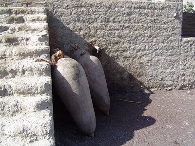 2003 2005 Pérou, 02lunahuana 010