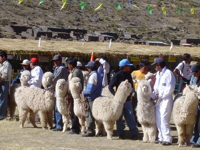 2003 2005 Pérou, 15huancavelica24