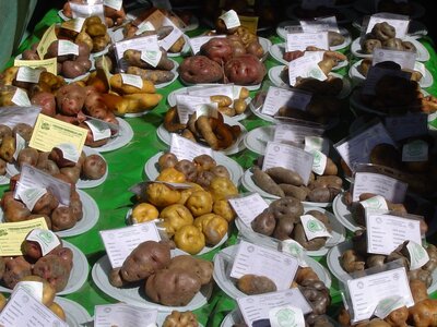 2003 2005 Pérou, 15huancavelica05