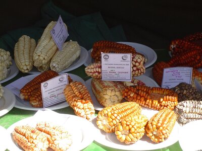 2003 2005 Pérou, 15huancavelica03