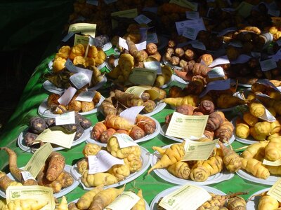 2003 2005 Pérou, 15huancavelica04