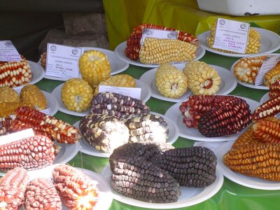 2003 2005 Pérou, 15huancavelica01