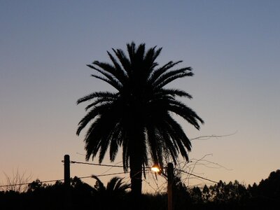 2007 Asturias, ribadesella 0 (28)