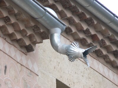 2007 Asturias, pedraza (16)