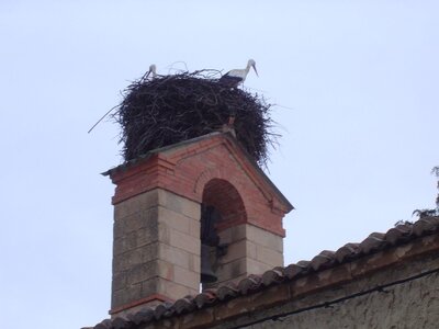 2007 Asturias, DSC05999