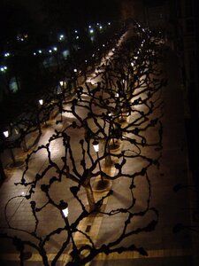 2007 Asturias, DSC06016