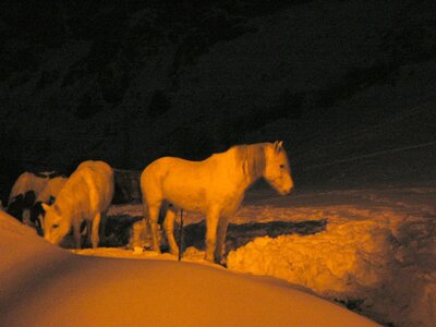 2007 Asturias, tielve 21