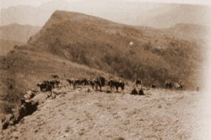 Henri Maroc 1931-1944, File_013