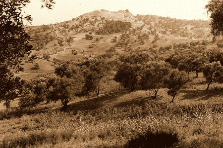 Henri Maroc 1931-1944, File_034