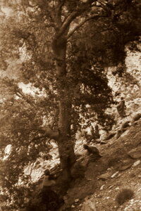 Henri Maroc 1931-1944, File_123